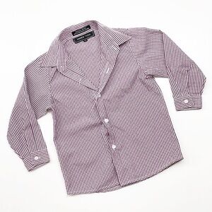 Andrew Fezza toddler boys purple/white plaid print long sleeve button down shirt